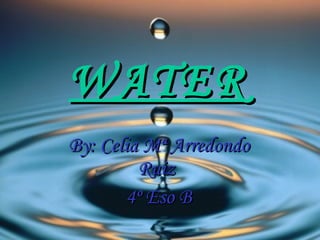 WATER   By: Celia Mª Arredondo Ruiz  4º Eso B 