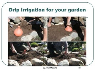 Drip irrigation for your garden 