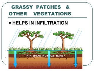GRASSY  PATCHES  &  OTHER  VEGETATIONS <ul><li>HELPS IN INFILTRATION </li></ul>