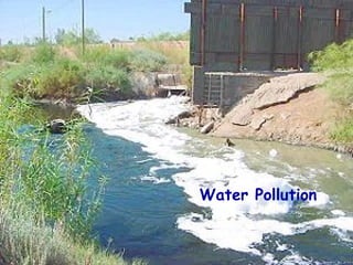 Water Pollution 
