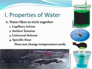 I. Properties of WaterA. Water likes to stick together1. Capillary Action2. Surface Tension3. Universal Solvent4. Specific HeatDoes not change temperature easily