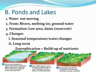 B. Ponds and Lakes1. Water  not moving2. From: Rivers, melting ice, ground water3. Formation: Low area, dams (reservoir)4. Changesi. Seasonal temperature/water changesii. Long-termEutrophication = Build-up of nutrients