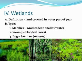 IV. WetlandsA. Definition - land covered in water part of yearB. Types1. Marshes – Grasses with shallow water2. Swamp – Flooded Forest3. Bog – Ice thaw (mosses)