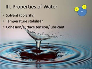III. Properties of Water Solvent (polarity) Temperature stabilizer Cohesion/surface tension/lubricant H O H 