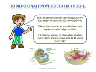 Είναι απαραίτθτο για τουσ οργανιςμοφσ, διότι
 ςυμμετζχει ςτισ βιολογικζσ λειτουργίεσ τουσ.

 Όλα τα ηϊα και τα φυτά αποτελοφνται από
      νερό ςε ποςοςτό μζχρι και 95%.

Ο άνκρωποσ μπορεί να ηιςει μζχρι 60 μζρεσ
χωρίσ τροφι αλλά όχι πάνω από 10-15 μζρεσ
               χωρίσ νερό




  ΝΑ΢ΣΑΚΟΤ ΜΑΡΙΑ ΠΕ0405                         9
 