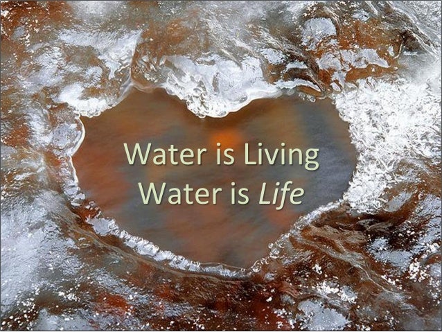 kangen living water