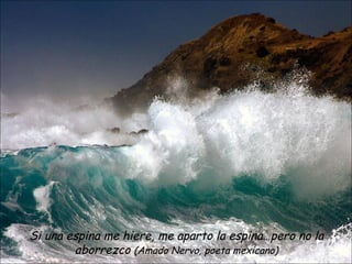 Si una espina me hiere, me aparto la espina…pero no la aborrezco  (Amado Nervo, poeta mexicano) 
