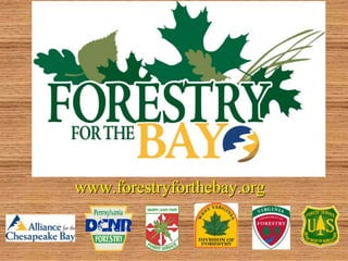 www.forestryforthebay.org
 