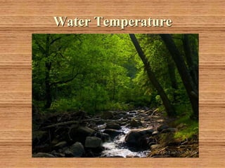 Water Temperature
 