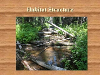 Habitat Structure
 
