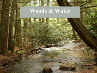 Woods & Water
 