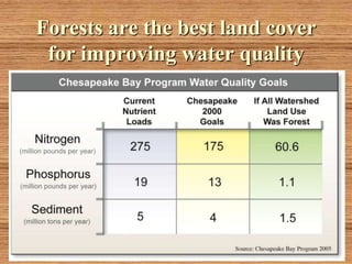 Forests are the best land cover
 for improving water quality
 