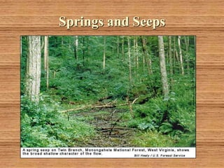 Springs and Seeps
 