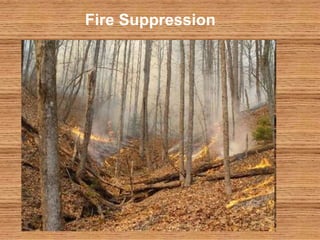 Fire Suppression
 