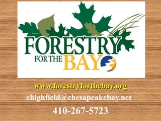 www.forestryforthebay.org
chighfield@chesapeakebay.net
      410-267-5723
 
