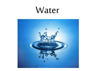 Water