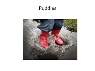 Puddles