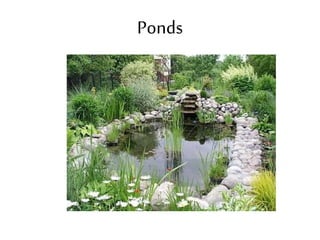 Ponds
