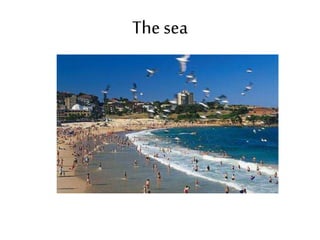 The sea
