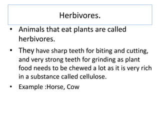 Herbivores.
• Animals that eat plants are called
herbivores.
• They have sharp teeth for biting and cutting,
and very stro...