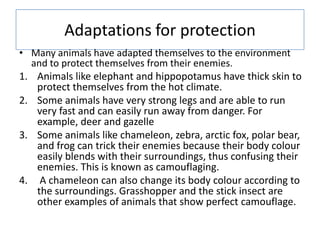 Adaptations for protection
• Many animals have adapted themselves to the environment
and to protect themselves from their ...
