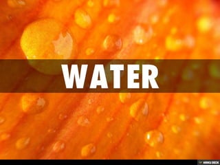 Water