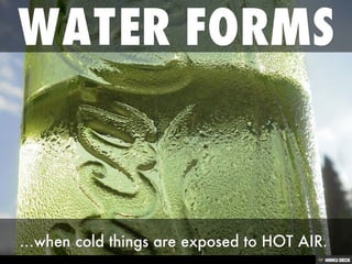 Water
