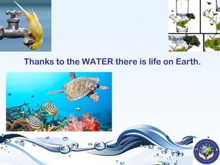 Thanks to the WATER there is life on Earth.

 
