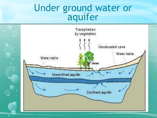 Water a precious resource essay