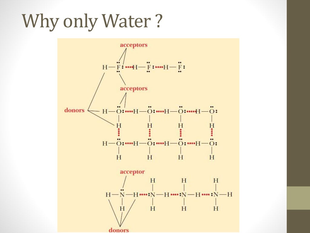 Biochemistry of Water