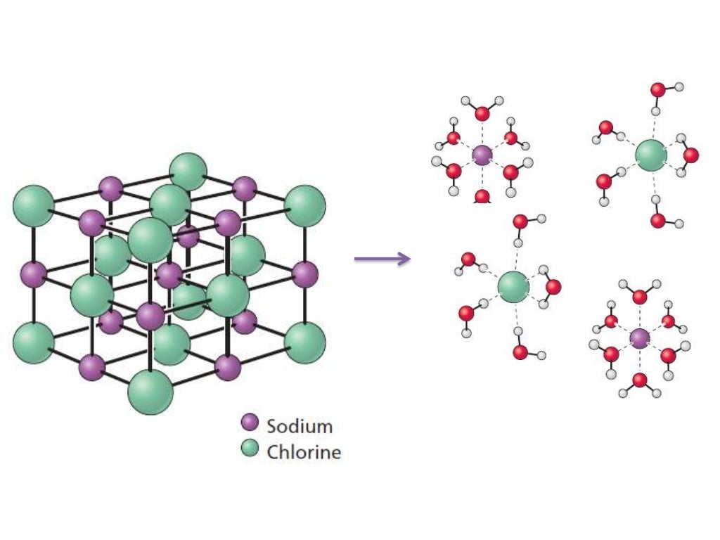 Biochemistry of Water