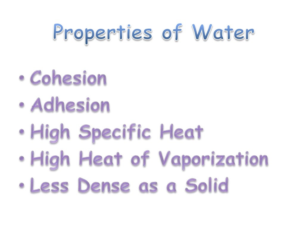 Biochemistry of Water