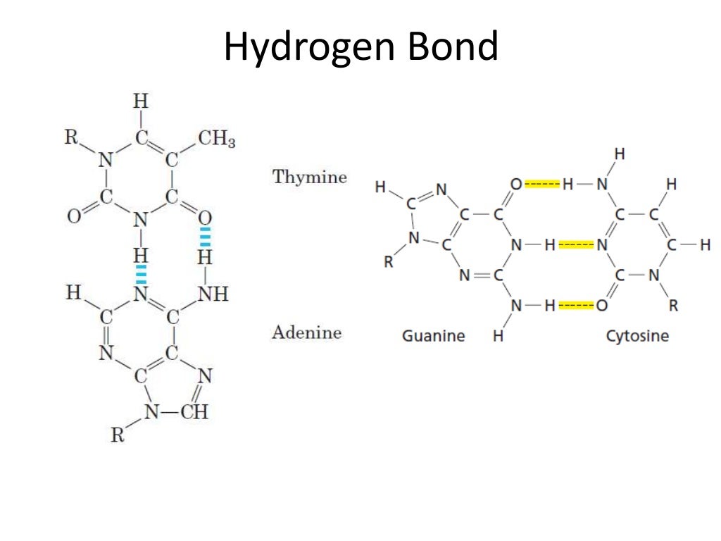 Biochemistry of Water