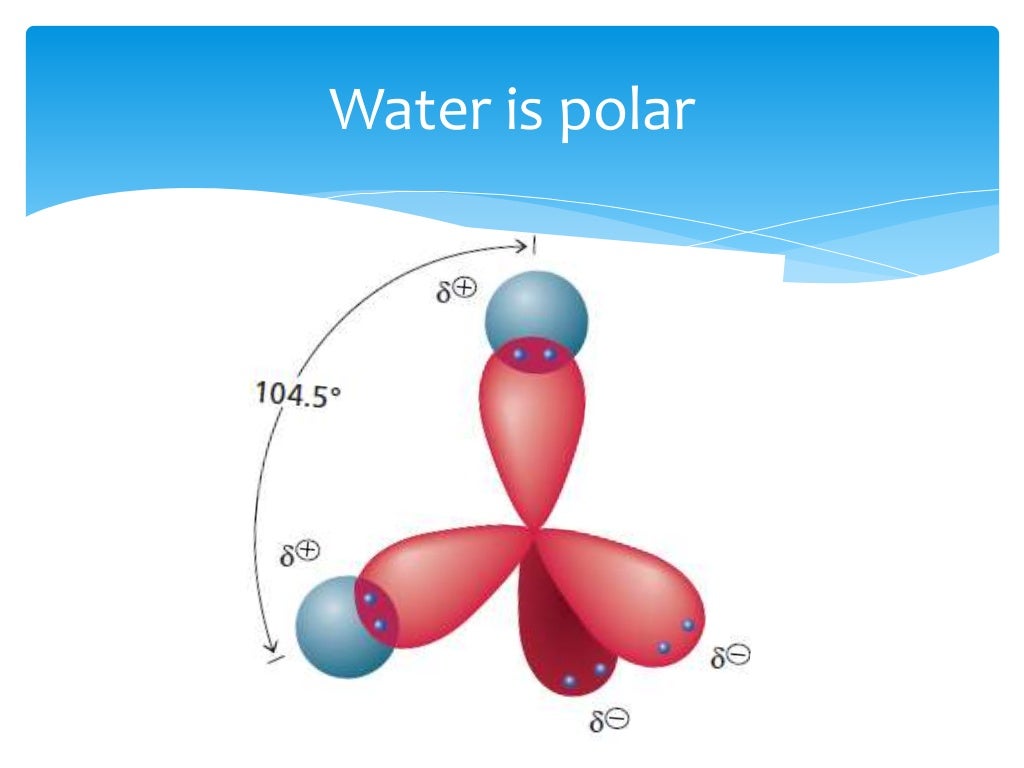 Biochemistry of Water