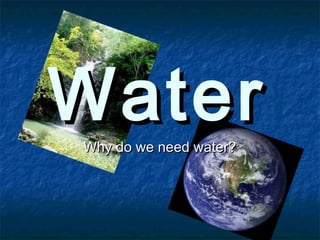 WaterWaterWhy do we need water?Why do we need water?
 