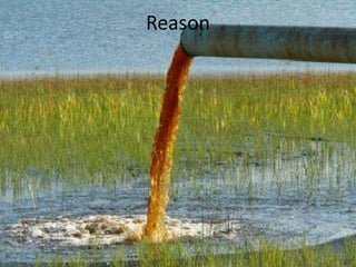 Reason
 