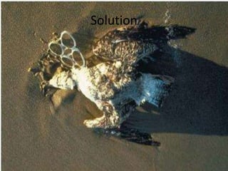 Solution
 