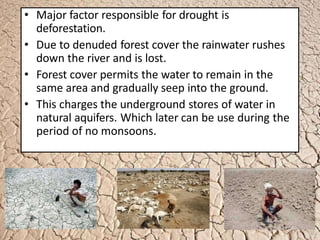 • Major factor responsible for drought is
deforestation.
• Due to denuded forest cover the rainwater rushes
down the river and is lost.
• Forest cover permits the water to remain in the
same area and gradually seep into the ground.
• This charges the underground stores of water in
natural aquifers. Which later can be use during the
period of no monsoons.
 