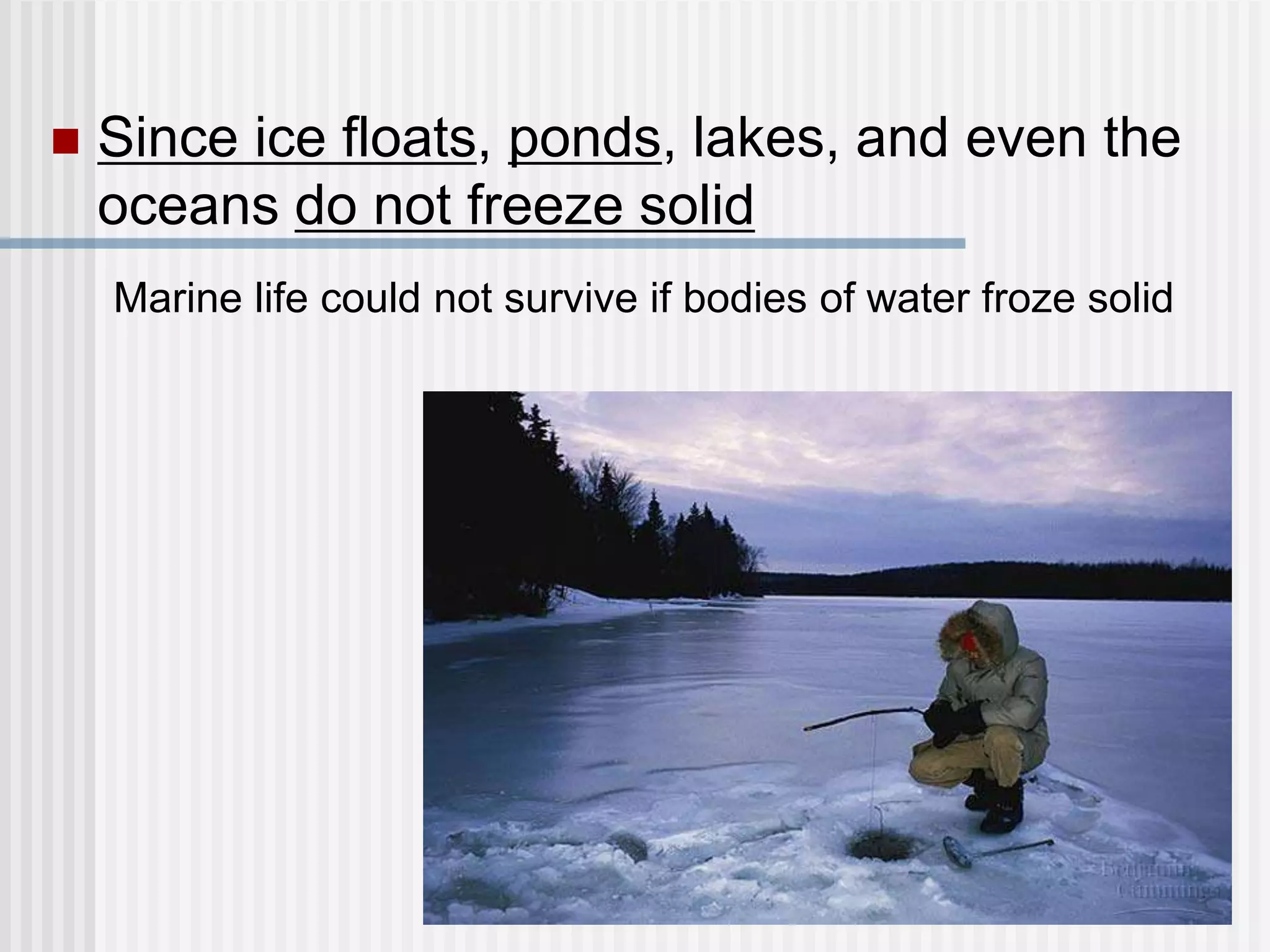  Since ice floats, ponds, lakes, and even the
oceans do not freeze solid
Marine life could not survive if bodies of water froze solid
 