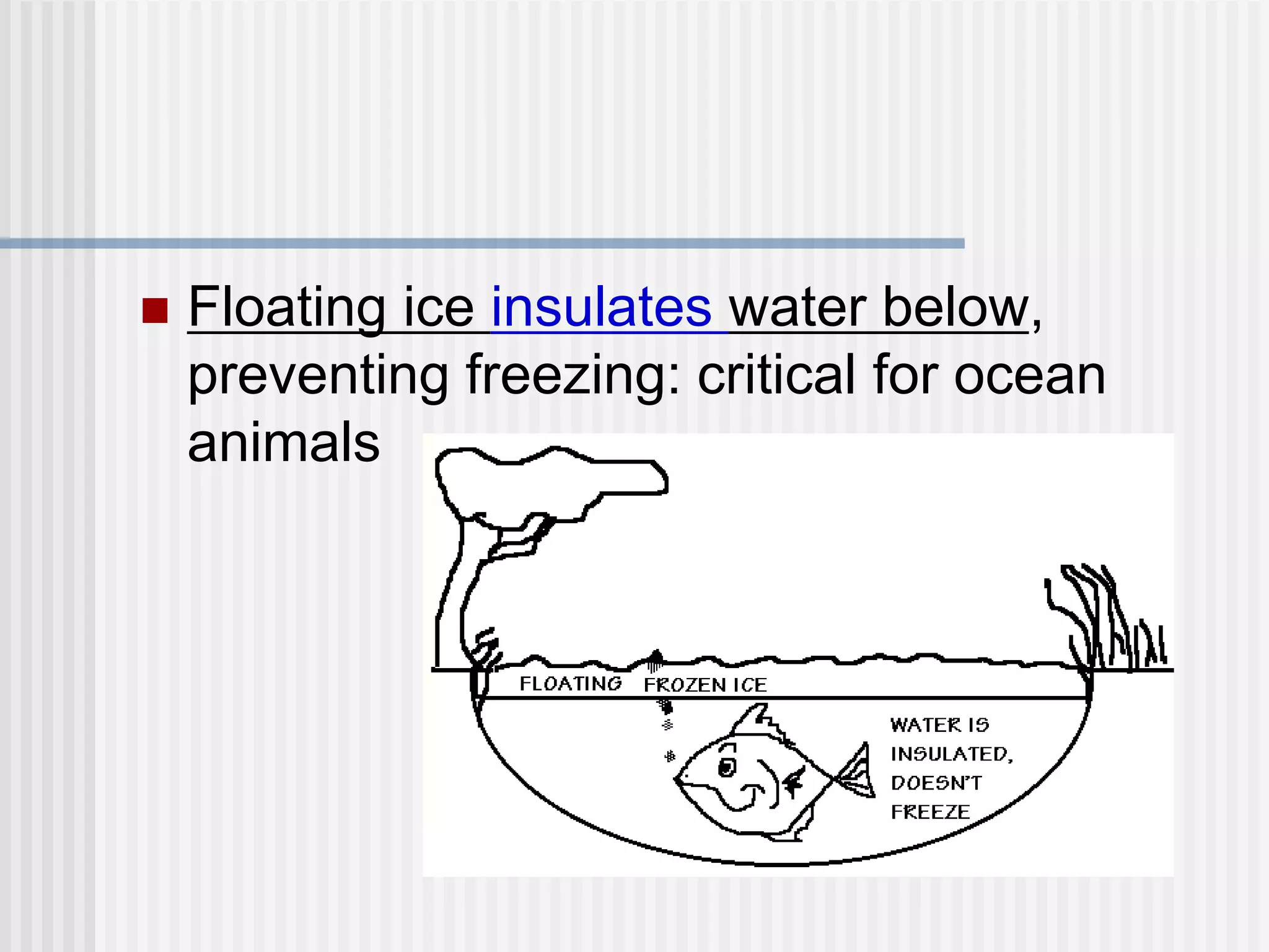  Floating ice insulates water below,
preventing freezing: critical for ocean
animals
 