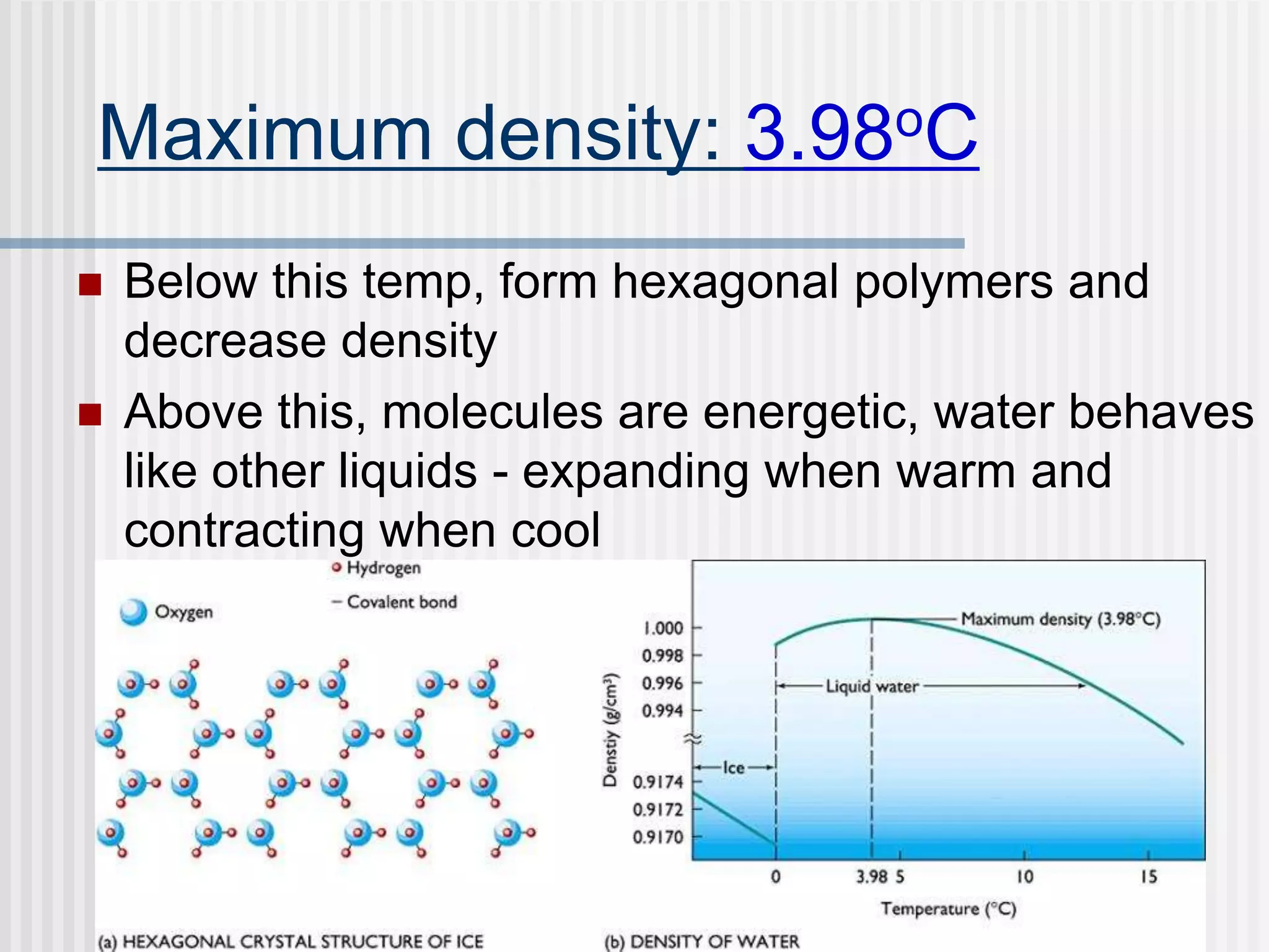 Maximum density: 3.98oC
 Below this temp, form hexagonal polymers and
decrease density
 Above this, molecules are energetic, water behaves
like other liquids - expanding when warm and
contracting when cool
 