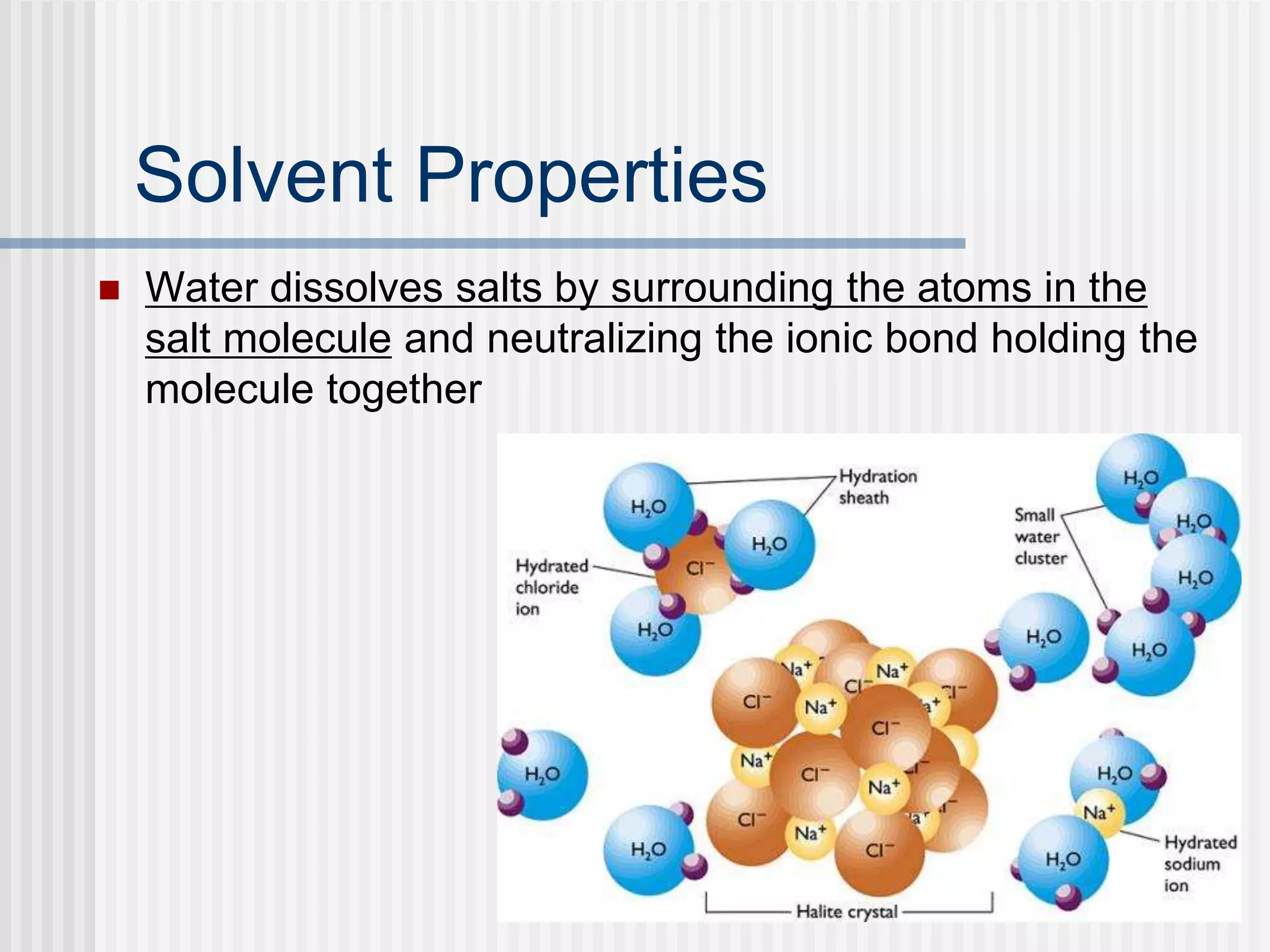 Solvent Properties
 Water dissolves salts by surrounding the atoms in the
salt molecule and neutralizing the ionic bond holding the
molecule together
 