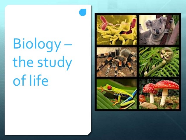 ap biology the properties of water essay ap biology the properties of water essay