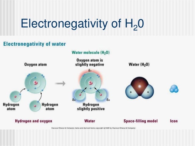 ap biology the properties of water essay Ap biology week of september 26th accesible on line through the ap college board website frq on the properties of water essay free-response-water-question. ap biology the properties of water essay Ap biology week of september 26th accesible on line through the ap college board website frq on the properties of water essay free-response-water-question.