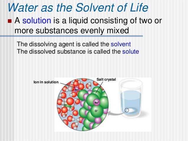 properties of water essay ap biology Ap biology frq essay these r groups that are in the amino acids are what determine the properties of the specific ap biology: the properties of water. properties of water essay ap biology Ap biology frq essay these r groups that are in the amino acids are what determine the properties of the specific ap biology: the properties of water.
