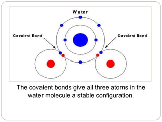 The covalent bonds give all three atoms in the
water molecule a stable configuration.
 