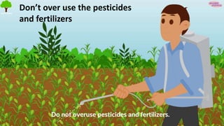 Don’t over use the pesticides
and fertilizers
 