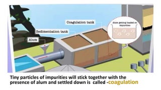 Tiny particles of impurities will stick together with the
presence of alum and settled down is called -coagulation
 
