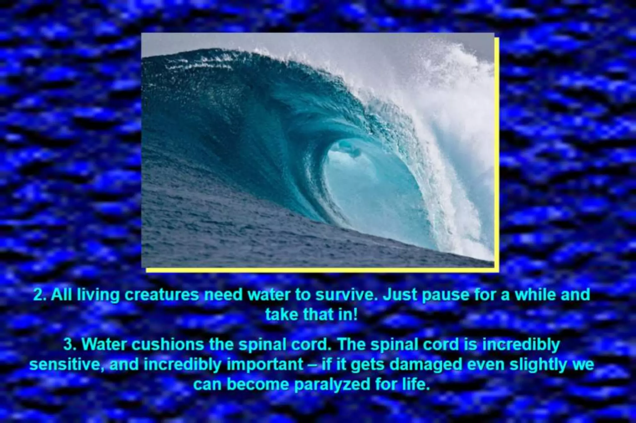 The role of water in our life