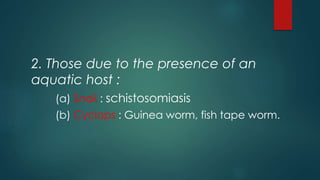 2. Those due to the presence of an
aquatic host :
(a) Snail : schistosomiasis
(b) Cyclops : Guinea worm, fish tape worm.
 